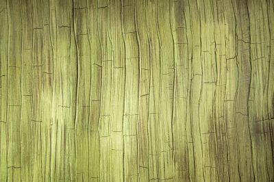 Textured Facade Finishes